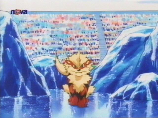 arcanine04.jpg