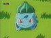 bulbasaur04.jpg